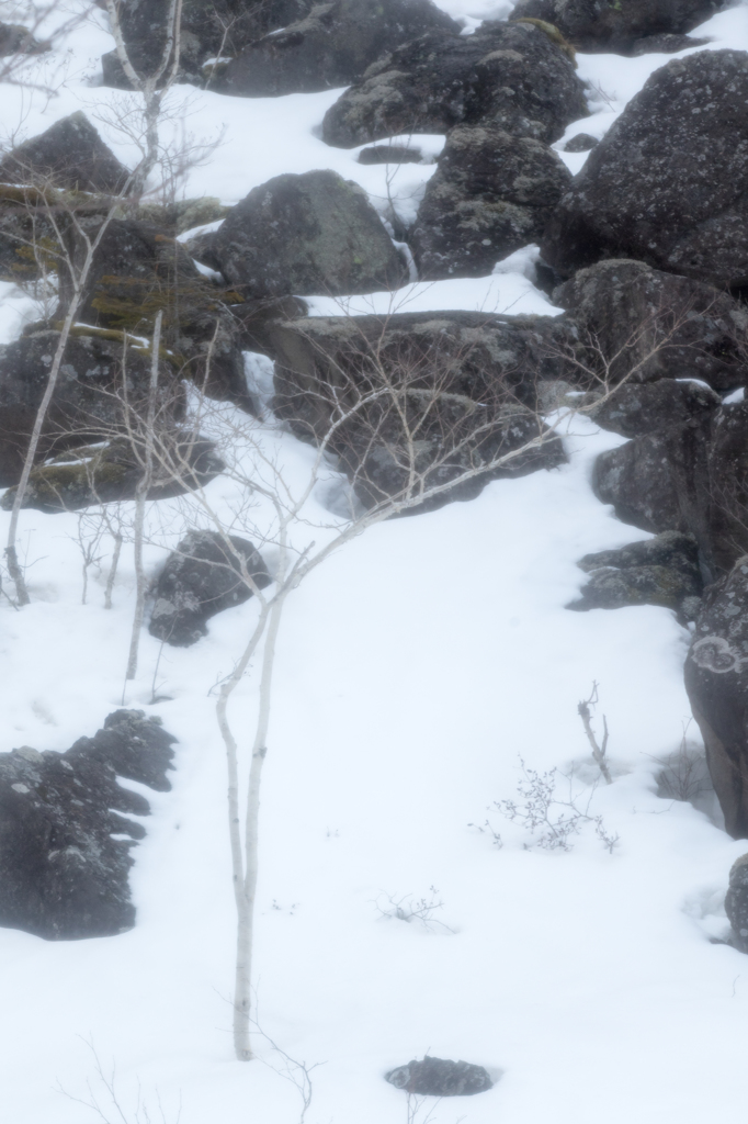 千畳崩の雪