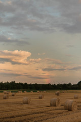 夕暮れの田園