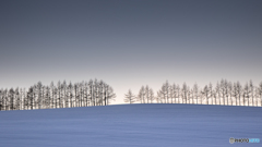 夕暮れの雪原