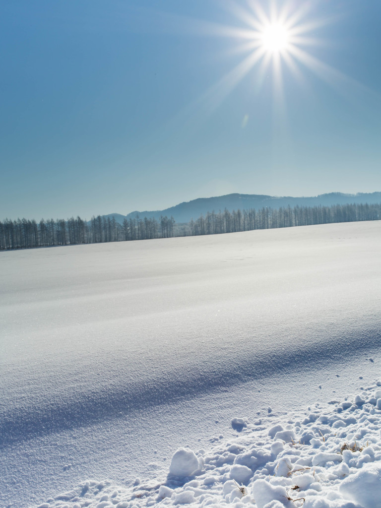 雪原