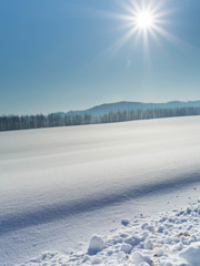 雪原
