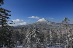 冬の阿寒岳（雌雄）