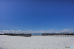 大空と大地