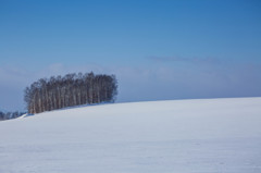 雪原