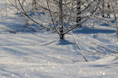 雪面の虹色