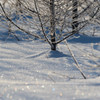 雪面の虹色
