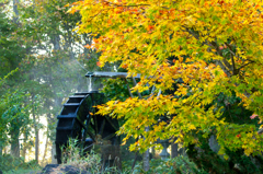 水車と紅葉