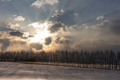 雪原の夕景