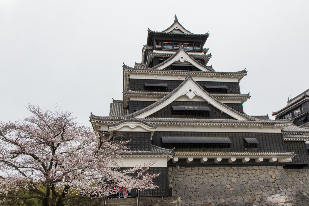 城と桜