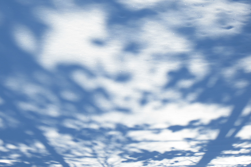雪原の影遊び