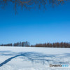 雪原の姿見