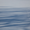 雪上の陰影