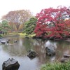 東御苑の秋-4