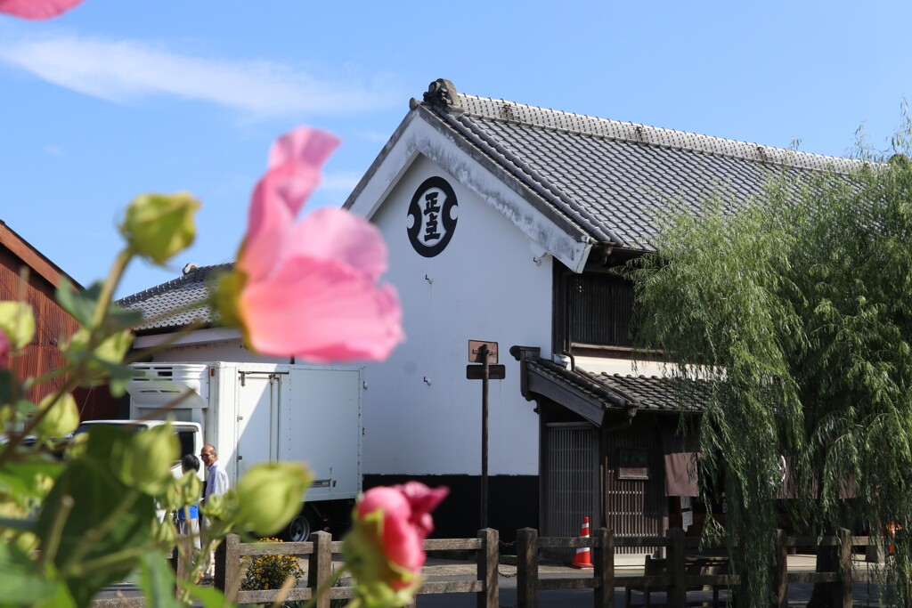 夏来るその6
