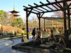 上野公園散策 -7