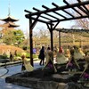 上野公園散策 -7