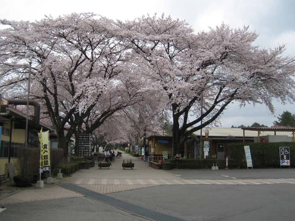 一休み