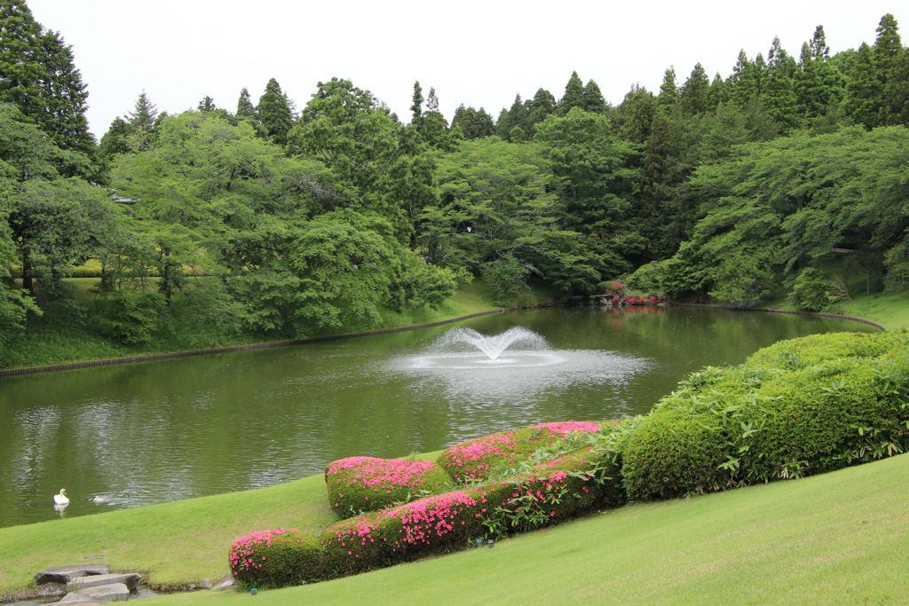 新緑の湖面その１