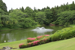 新緑の湖面その１