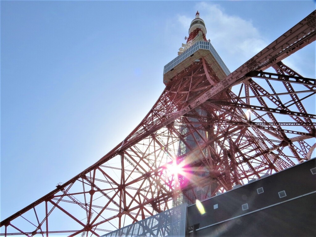 東京タワーを見上げて-4