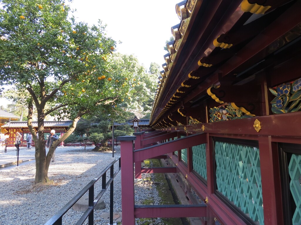 上野公園散策 -9