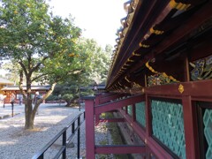 上野公園散策 -9