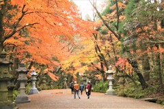 暖冬の紅葉