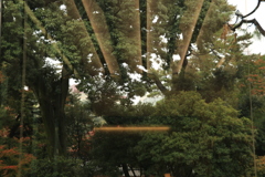 USO・・・飛来
