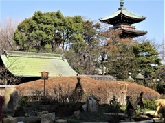 上野公園散策 -13