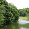 新緑の湖面その2