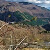晩秋の山々
