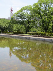 みずかがみ
