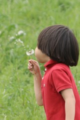 フーー　飛んでけ～