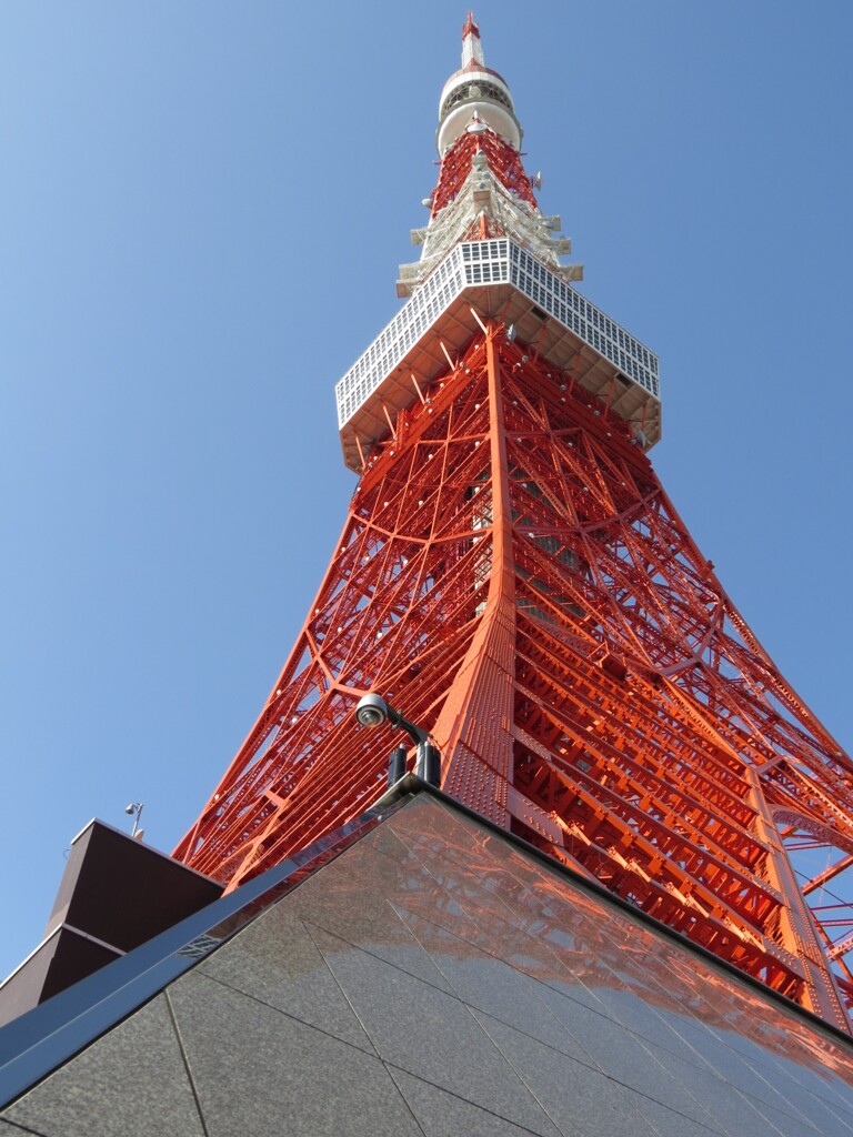 東京タワーを見上げて-2