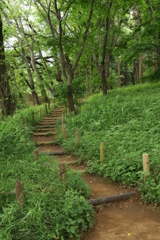 新緑散歩その7