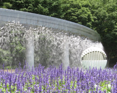 都会のオアシス