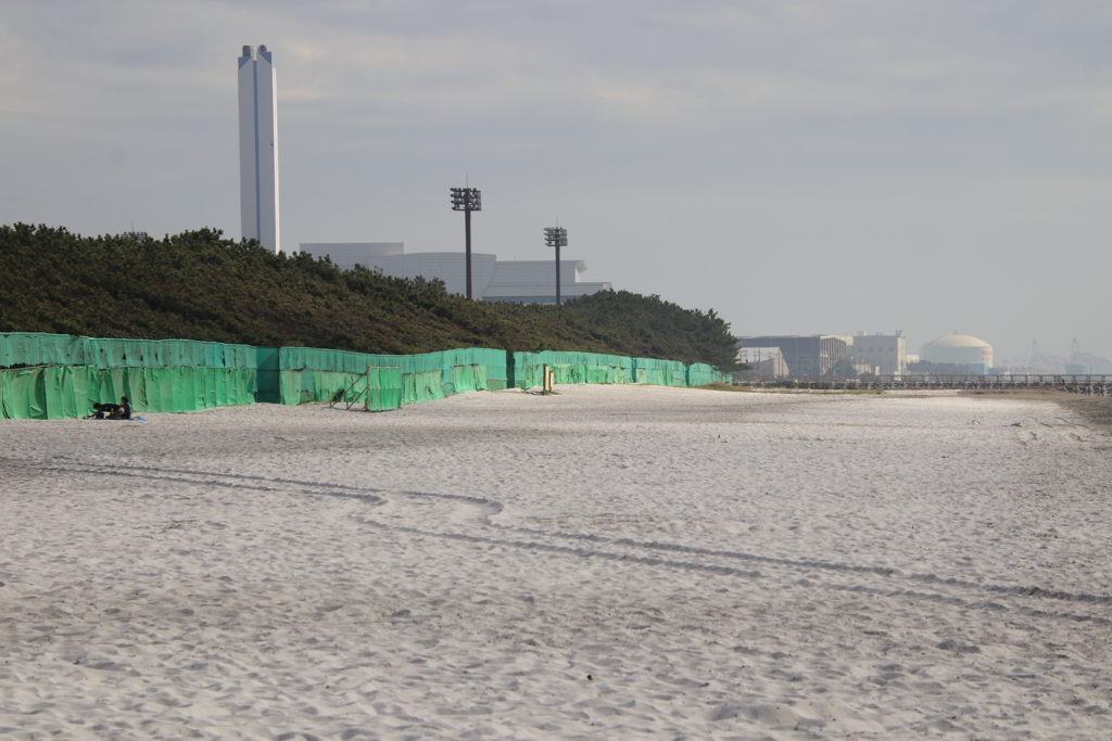 白砂の浜