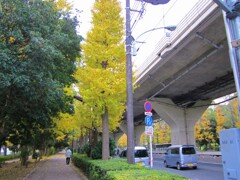 散歩道