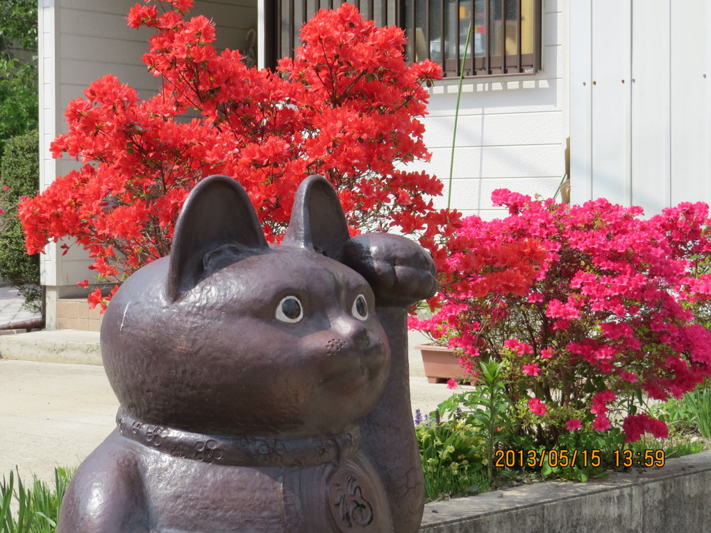 おいで、おいで