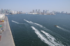 竹芝から晴海ふ頭を望む