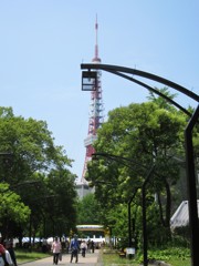 東京ウオーク、スタート