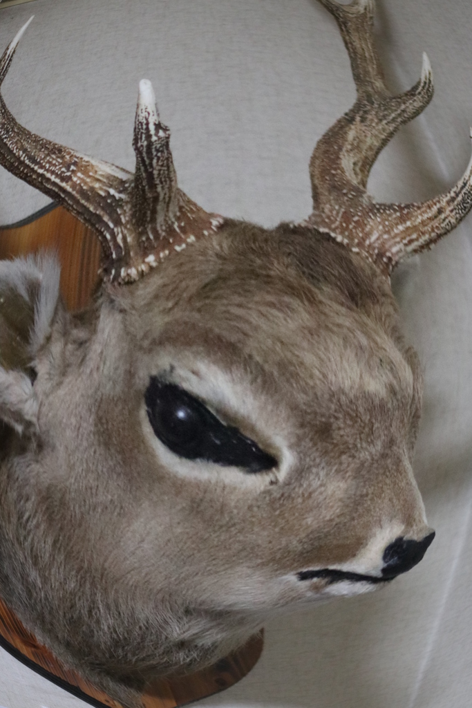 我が家のマスコット