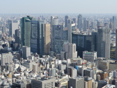 東京タワーの周辺 -3