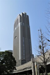 東京、ビル街を歩く