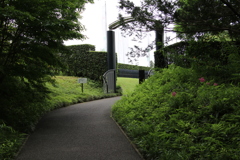 新緑散歩その１