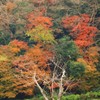 燃える山肌