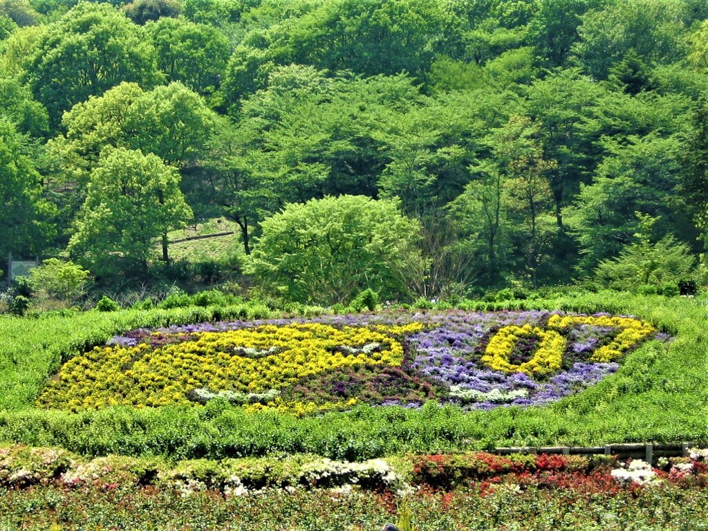 林の中の花壇
