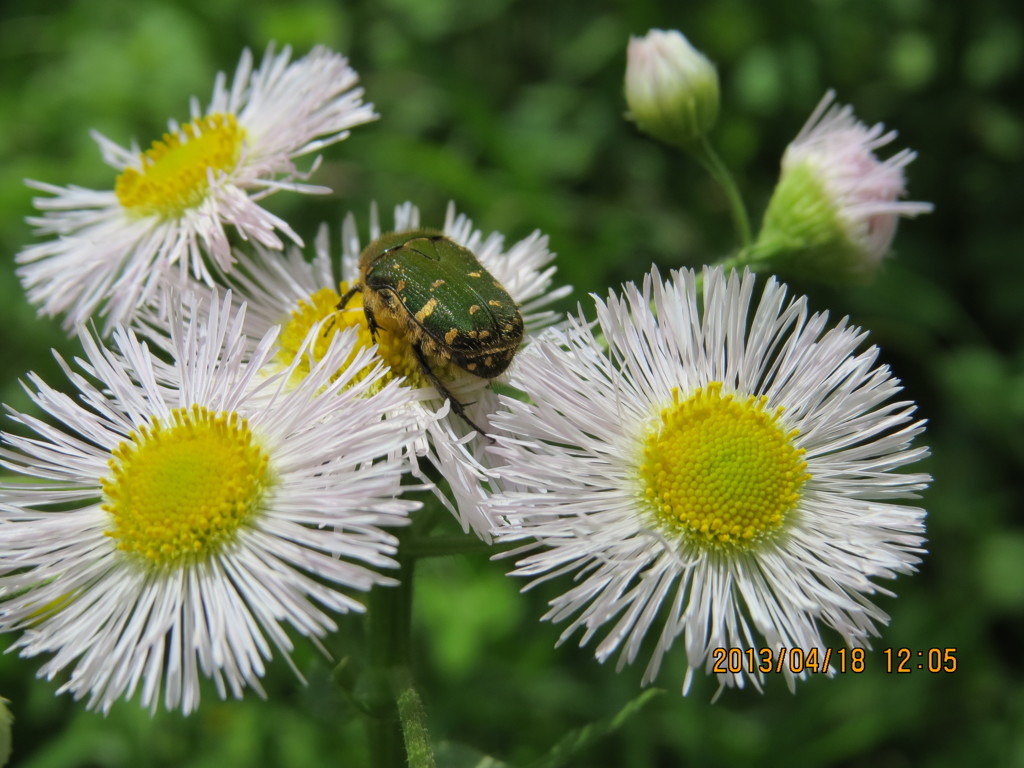 美味しいかい？