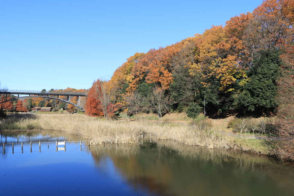 晩秋の湖畔ー２