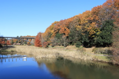 晩秋の湖畔ー２